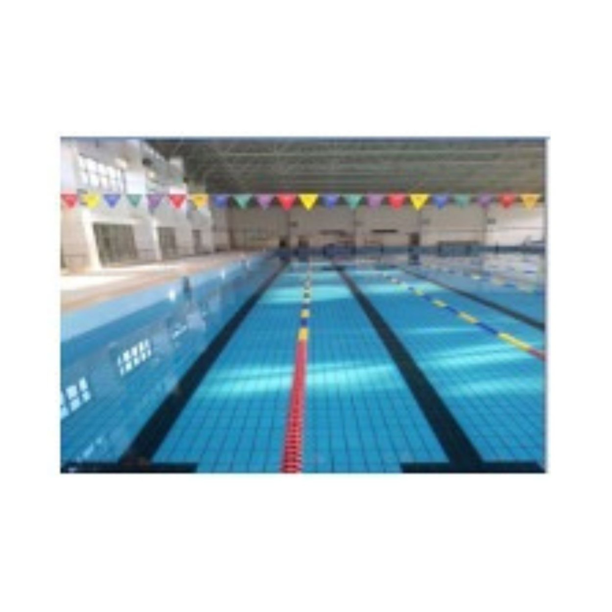 Andarivel De Competicion 25 Metros.